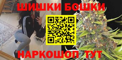 индика Славгород
