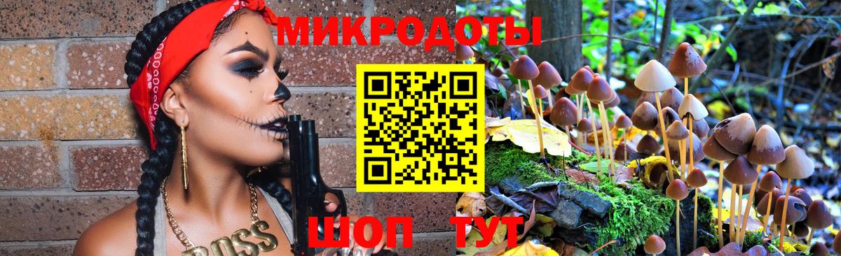 Партизанск  Псилоцибиновые грибы Psilocybine cubensis  Вход с VPN 