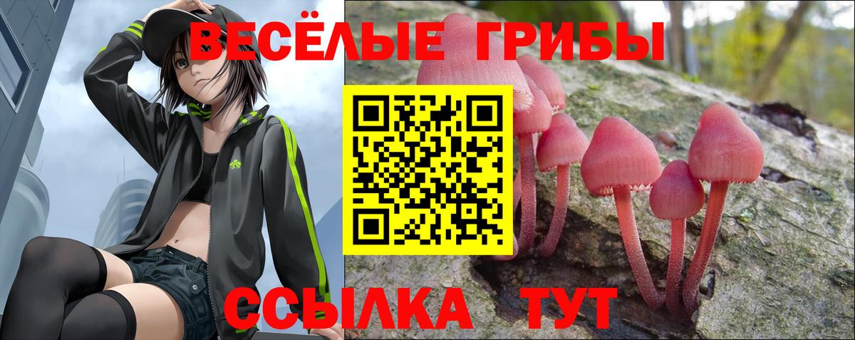Галлюциногенные грибы GOLDEN TEACHER Партизанск